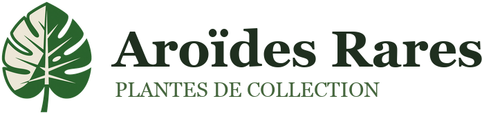 Aroïdes Rares